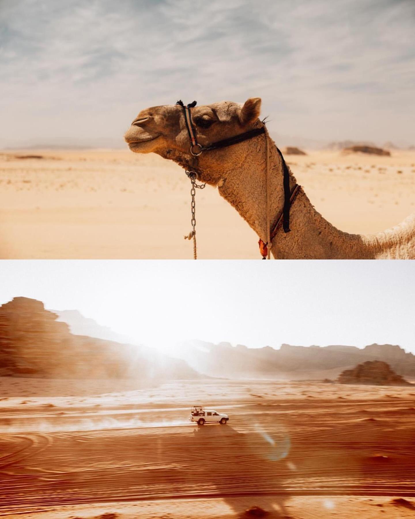 Rum Luxury Camp Wadi Rum Exteriér fotografie