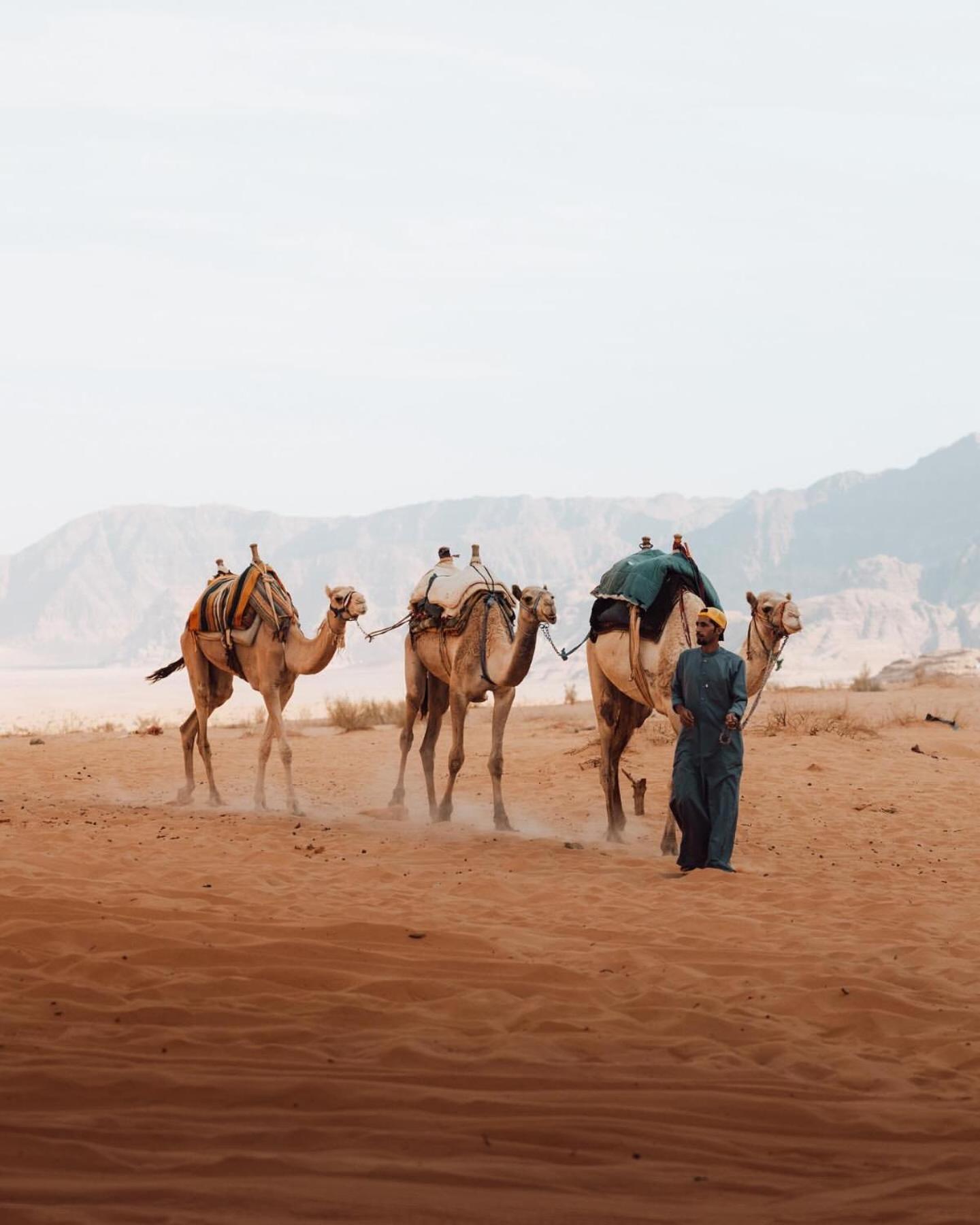 Rum Luxury Camp Wadi Rum Exteriér fotografie