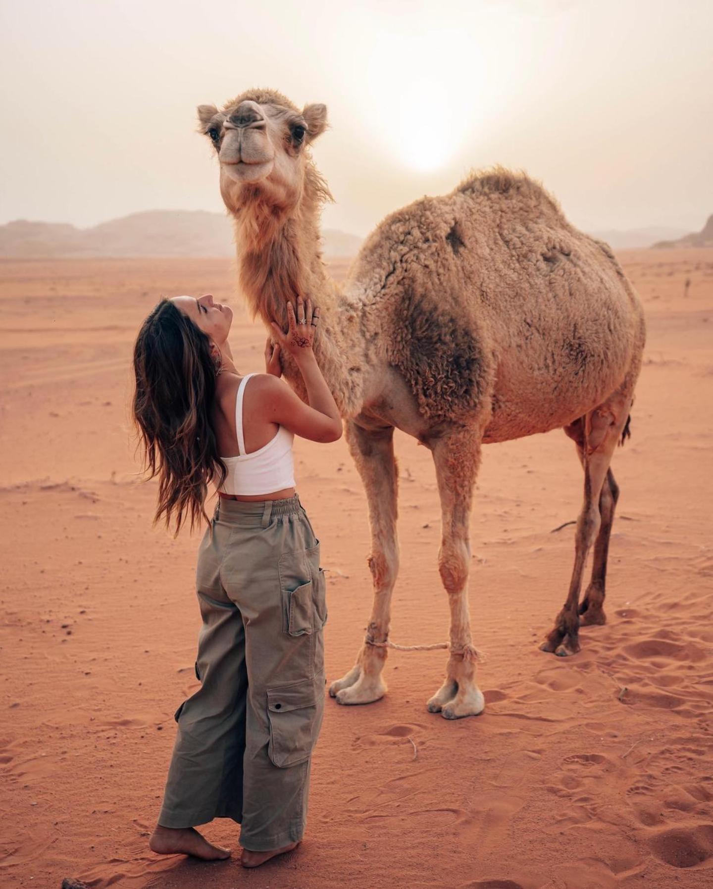 Rum Luxury Camp Wadi Rum Exteriér fotografie